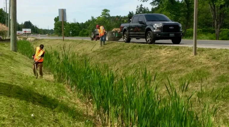 NAC grass cutting 2